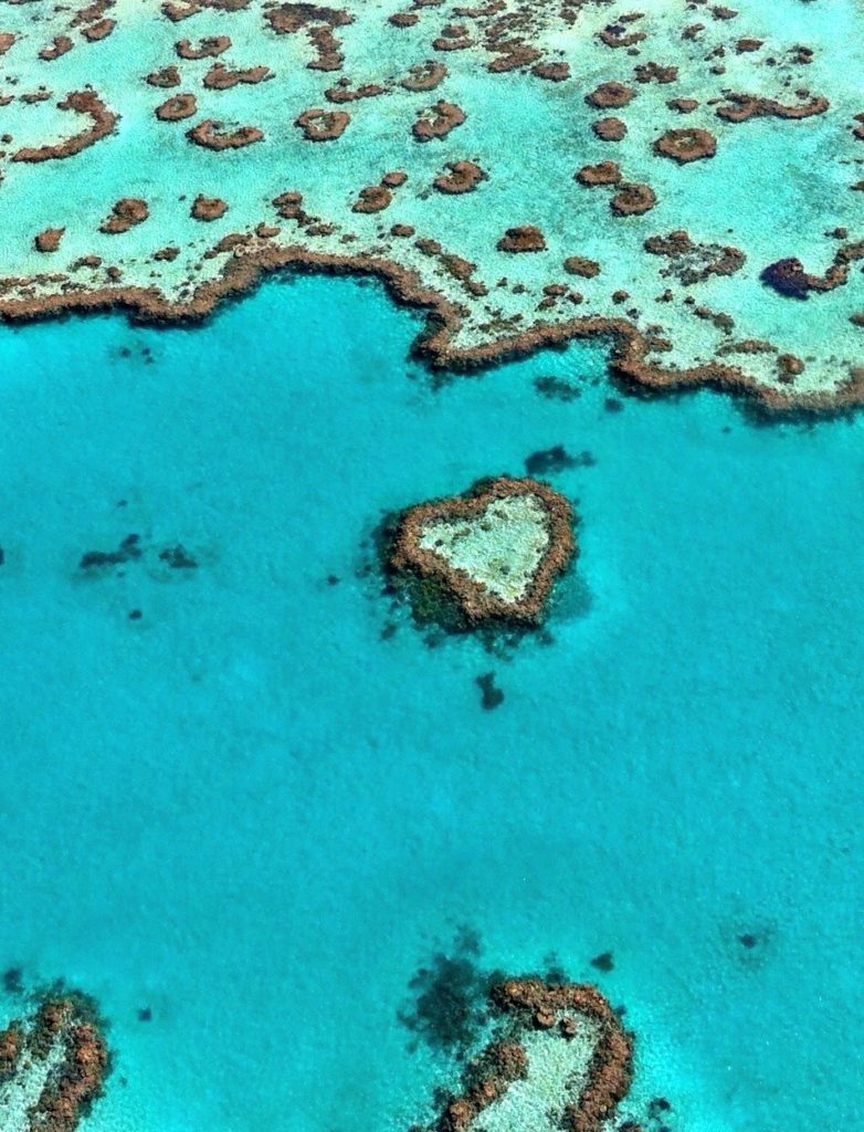 Heart Island Reef Australia aerial view. Keep spreading the love with Smithers Swimwear